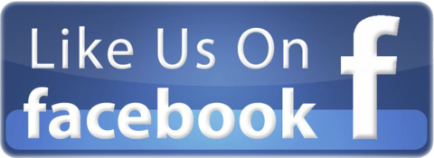 facebook button